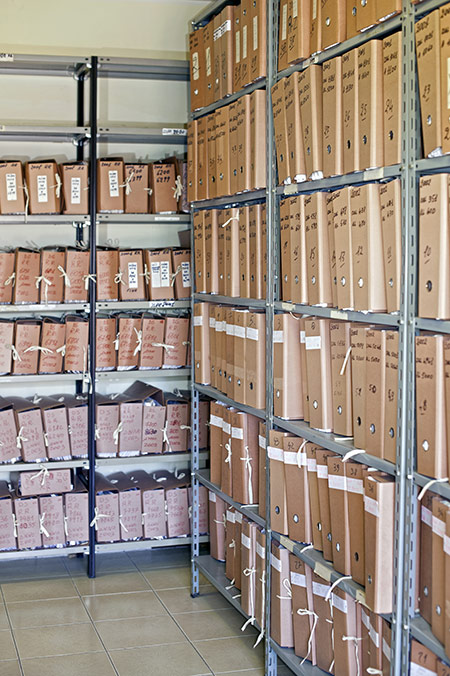 Dollarphotoclub_25253356