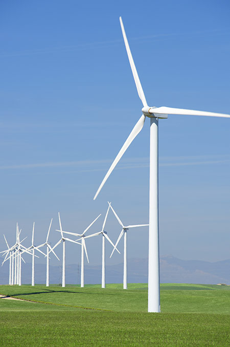 Dollarphotoclub_76498976